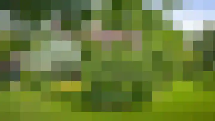 Jachtrustweg 1 Diepenveen thumbnail 54