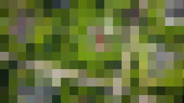 Jachtrustweg 1 Diepenveen thumbnail 57