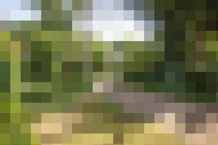 Jachtrustweg 1 Diepenveen thumbnail 59
