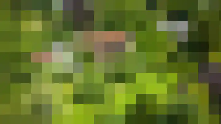 Jachtrustweg 1 Diepenveen thumbnail 66