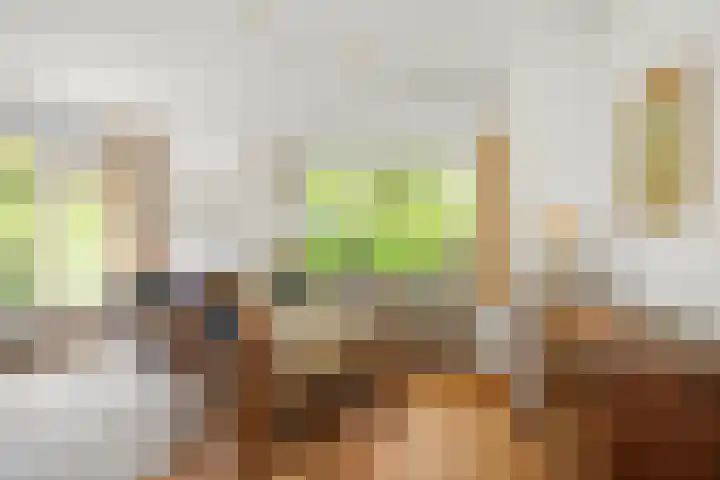 Jachtrustweg 1 Diepenveen thumbnail 7