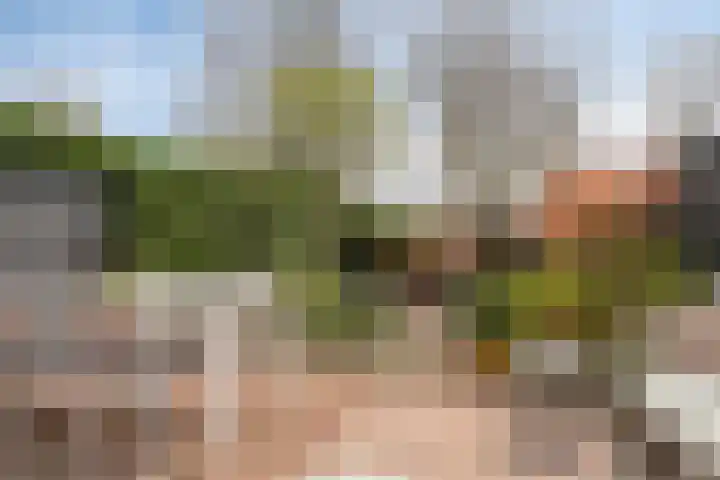Jachtvalk 23 Nieuwegein thumbnail 28