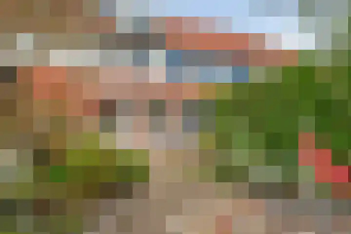 Jachtvalk 23 Nieuwegein thumbnail 30
