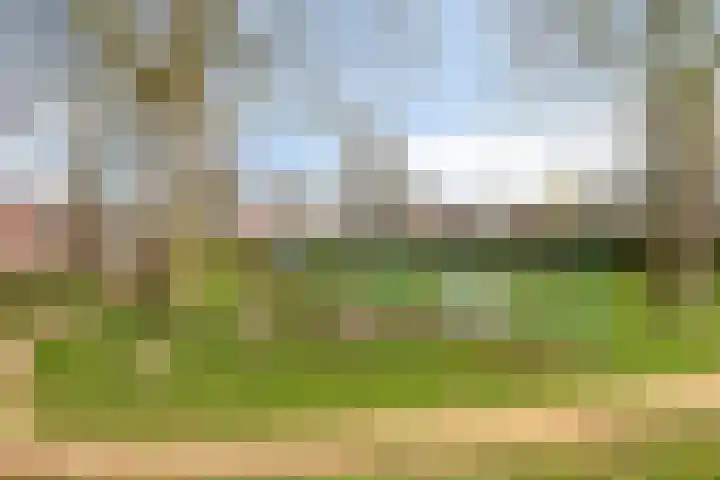 Jachtvalk 23 Nieuwegein thumbnail 32