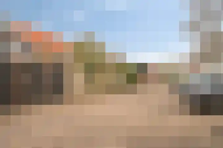 Jachtvalk 23 Nieuwegein thumbnail 33