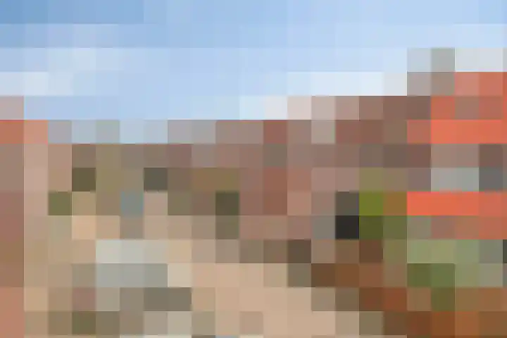 Jachtvalk 23 Nieuwegein thumbnail 34