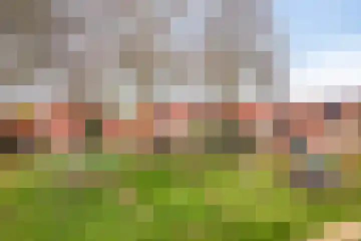 Jachtvalk 23 Nieuwegein thumbnail 38