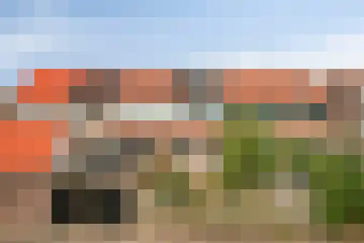 Jachtvalk 23 Nieuwegein thumbnail 39