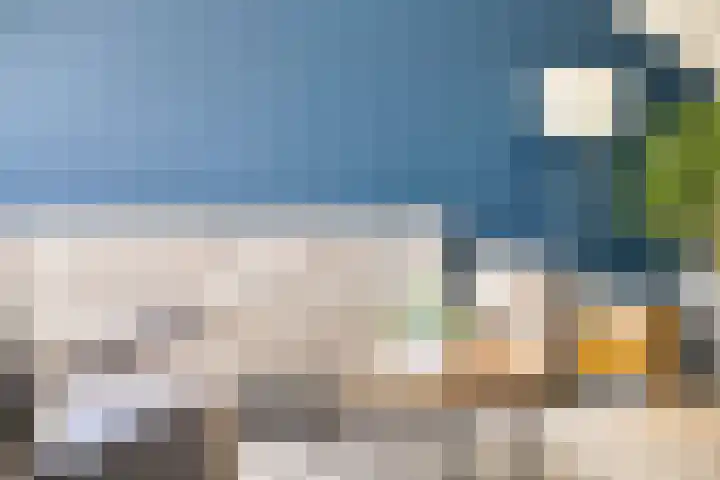 Jachtvalk 23 Nieuwegein thumbnail 7