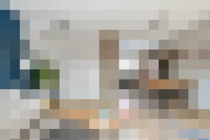 Jachtvalk 23 Nieuwegein thumbnail 8