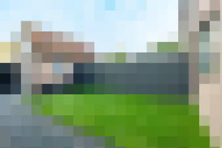 Jachtvalk 44 Nieuwegein thumbnail 20