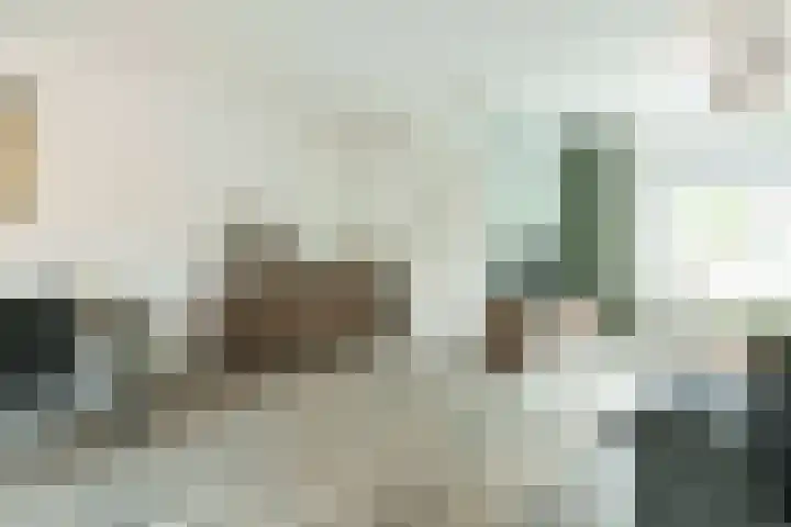 Jachtvalk 44 Nieuwegein thumbnail 4