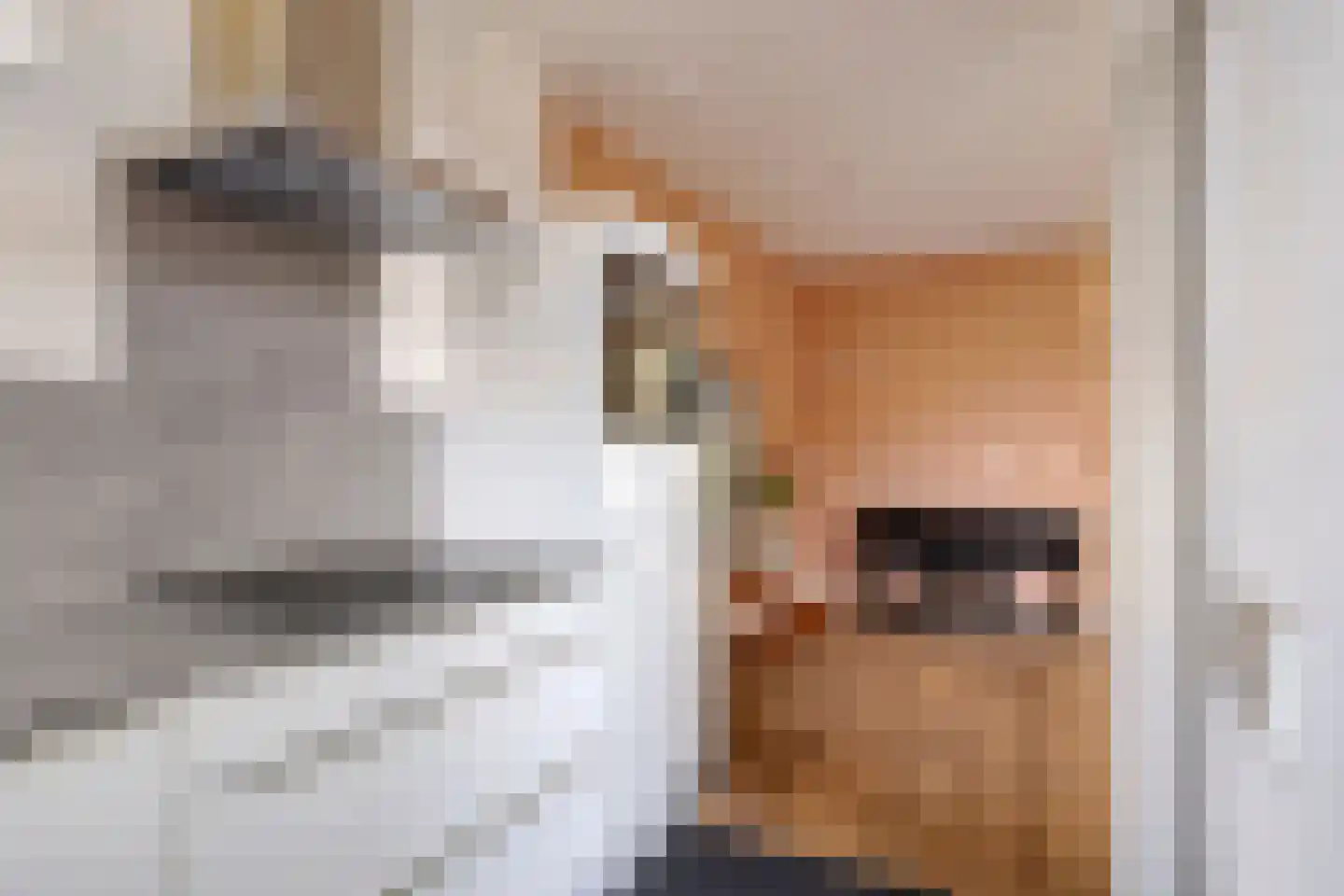 Jachtveld 10 Gilze thumbnail 21