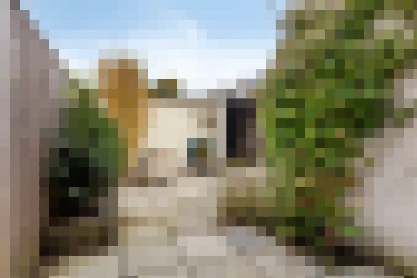 Jachtveld 10 Gilze thumbnail 4