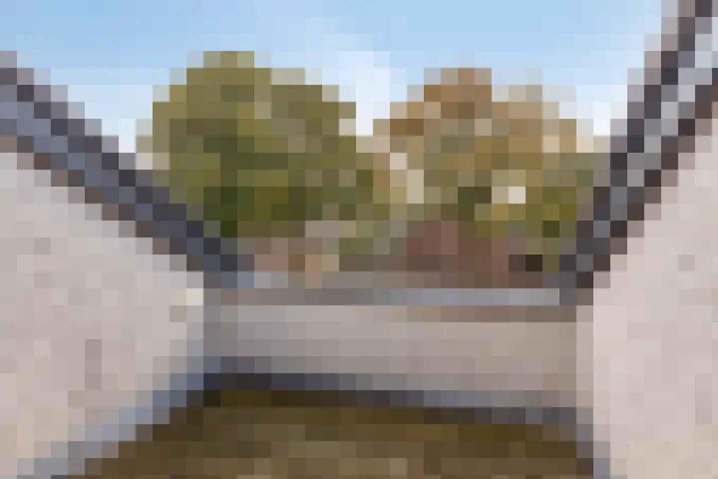 Jachtveld 10 Gilze thumbnail 41