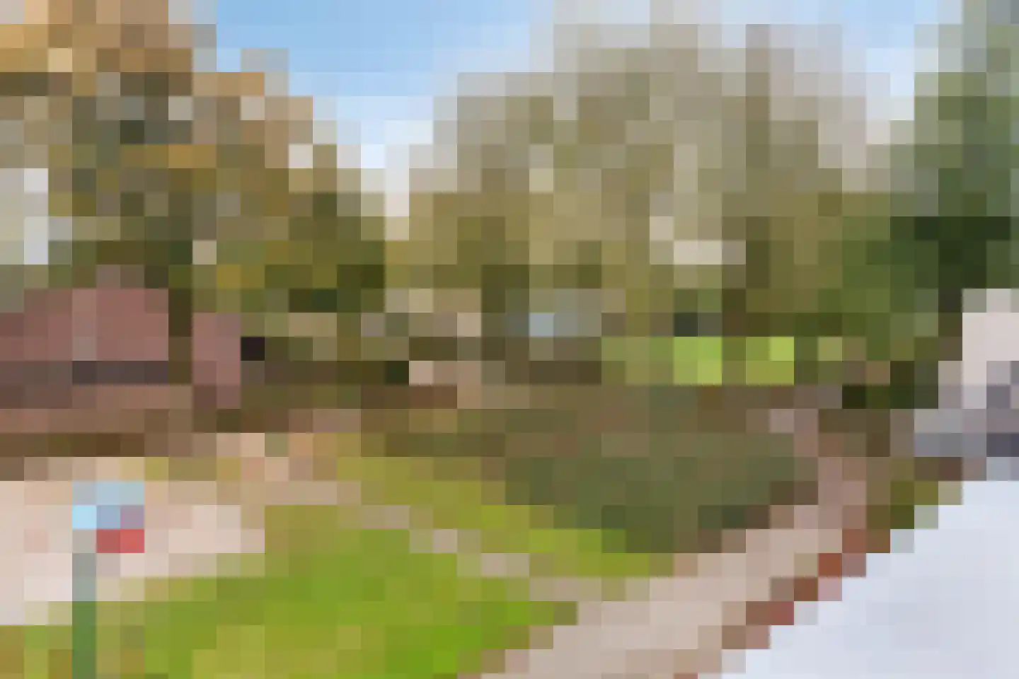 Jachtveld 10 Gilze thumbnail 43