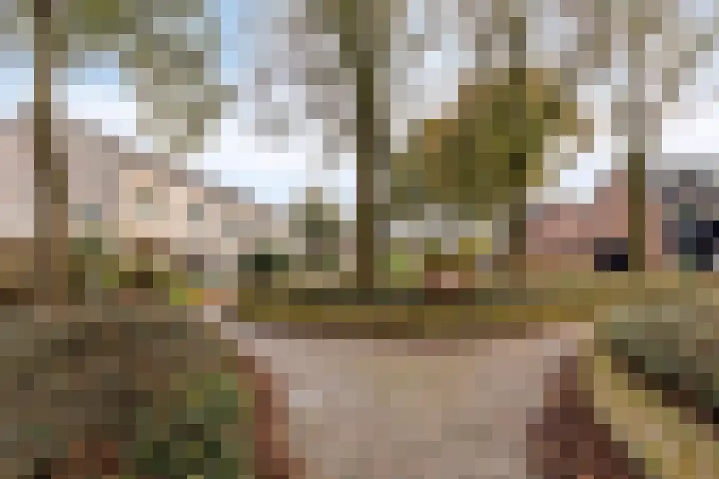 Jachtveld 10 Gilze thumbnail 48