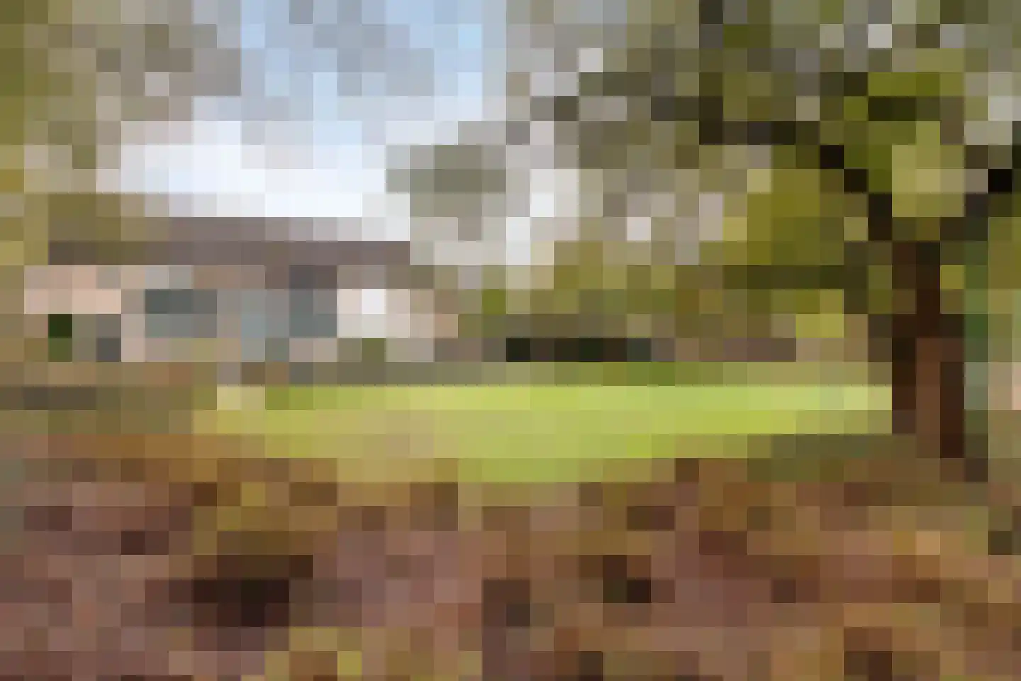 Jachtveld 10 Gilze thumbnail 49