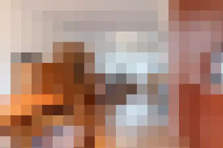 Jachtveld 11 Gilze thumbnail 12