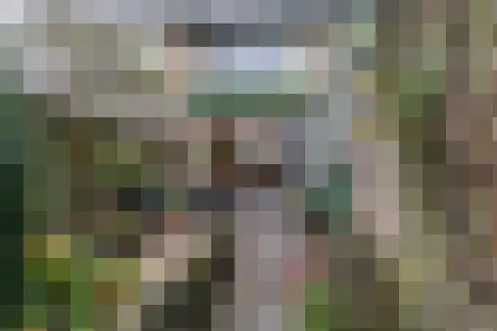 Jachtveld 11 Gilze thumbnail 19