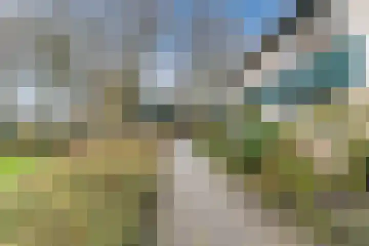 Jachtveld 11 Gilze thumbnail 43