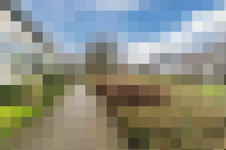 Jachtveld 11 Gilze thumbnail 44