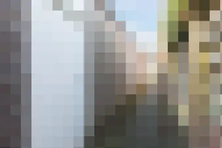 Jachtveld 12 Gilze thumbnail 17