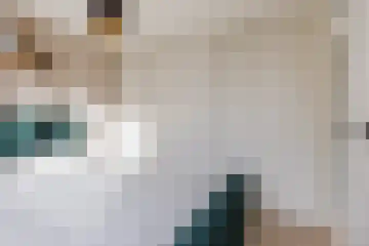 Jachtveld 12 Gilze thumbnail 20