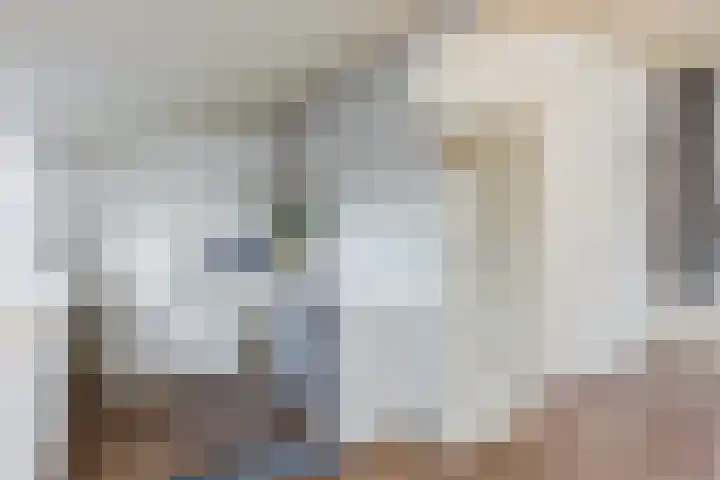 Jachtveld 12 Gilze thumbnail 33