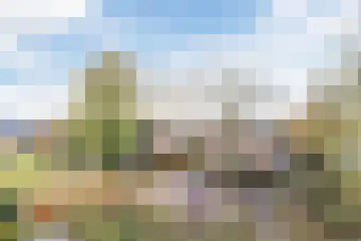 Jachtveld 12 Gilze thumbnail 36