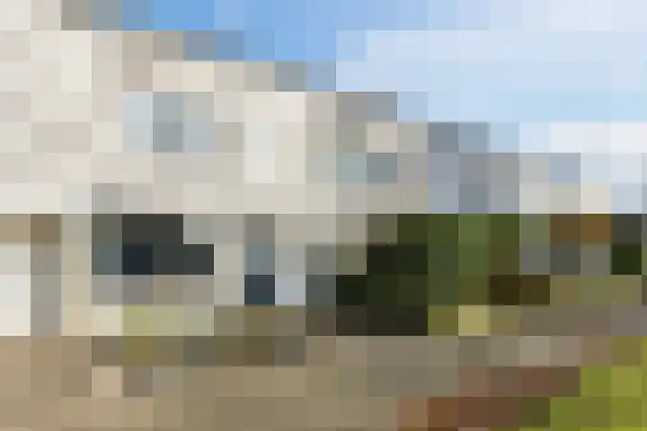 Jachtveld 12 Gilze thumbnail 38