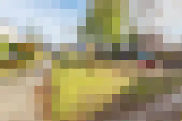 Jachtveld 12 Gilze thumbnail 42