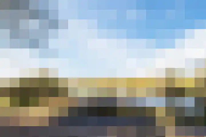 Jachtveld 12 Gilze thumbnail 43