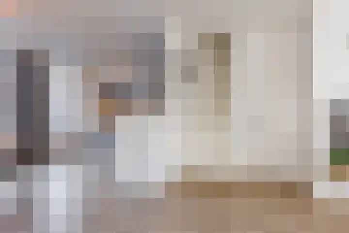 Jachtveld 12 Gilze thumbnail 8
