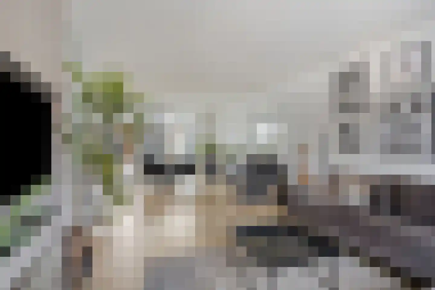 Jachtwagenstraat 139 Purmerend thumbnail 13