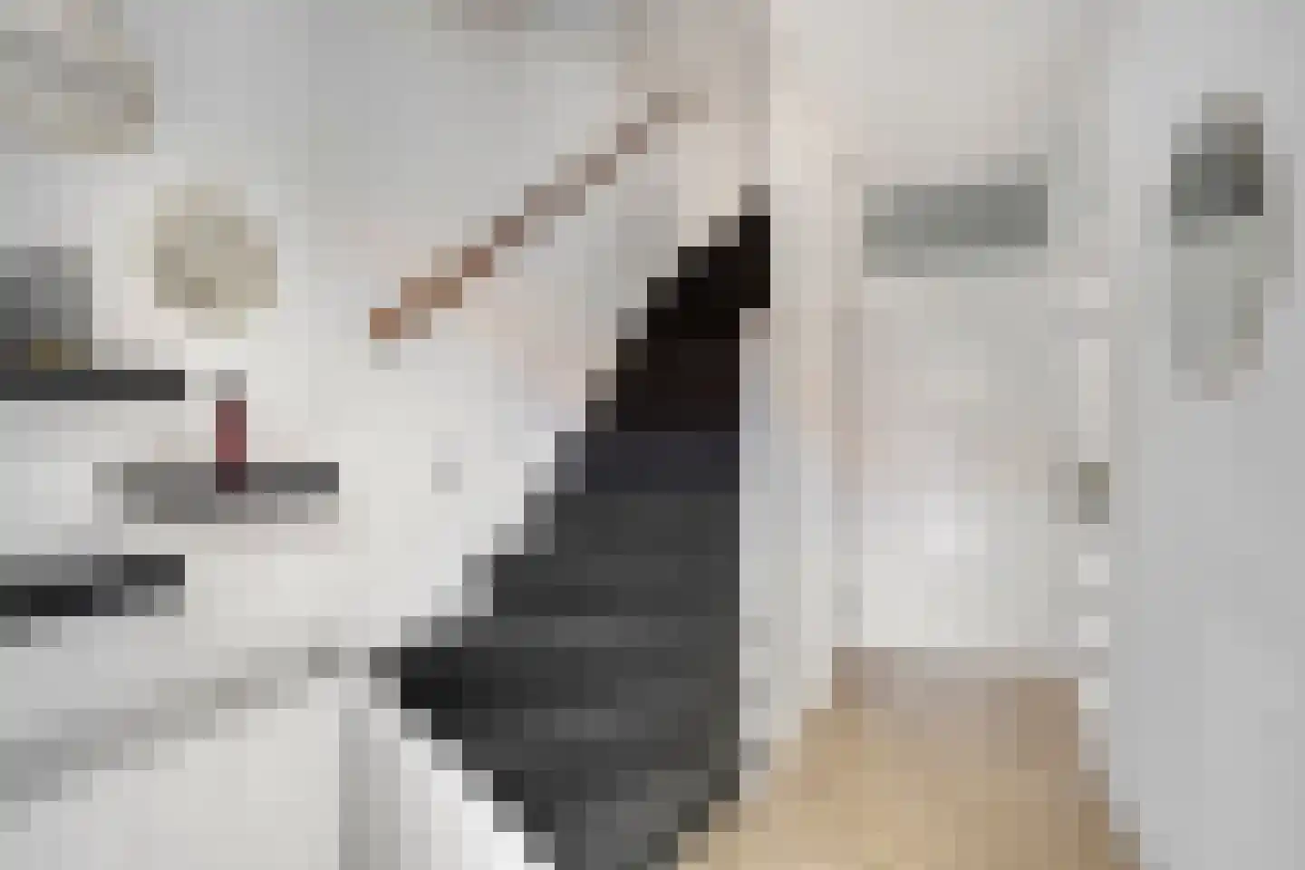 Jachtwagenstraat 139 Purmerend thumbnail 7