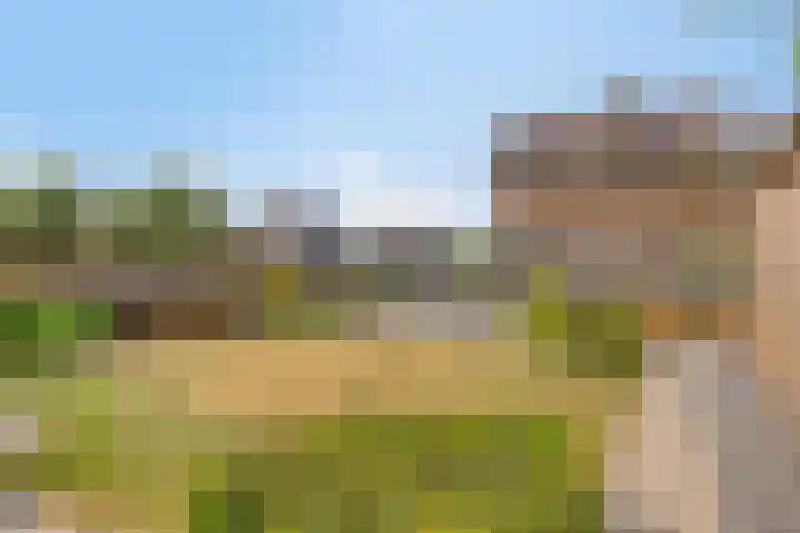 Jacintastraat 14 Graauw thumbnail 19