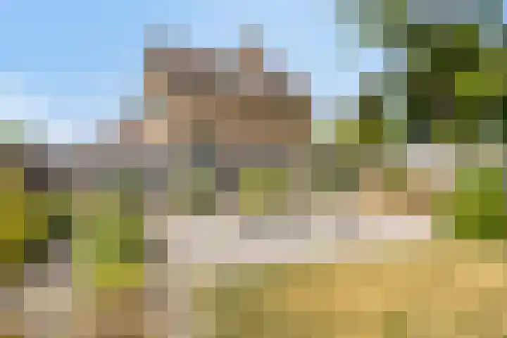Jacintastraat 14 Graauw thumbnail 22