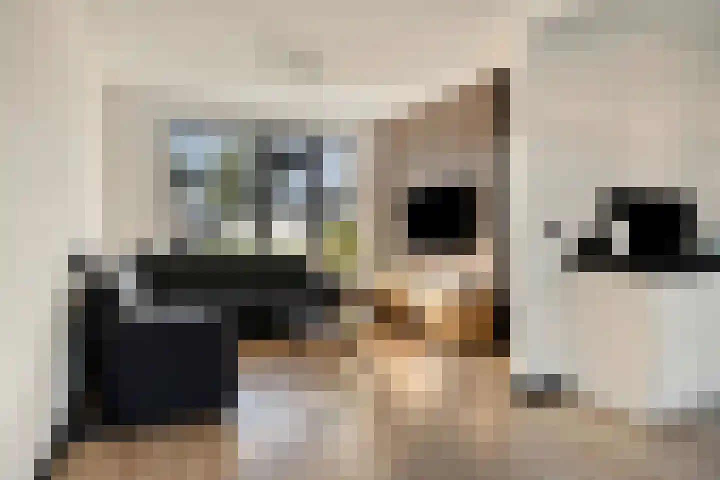 Jacintastraat 40 Graauw thumbnail 11
