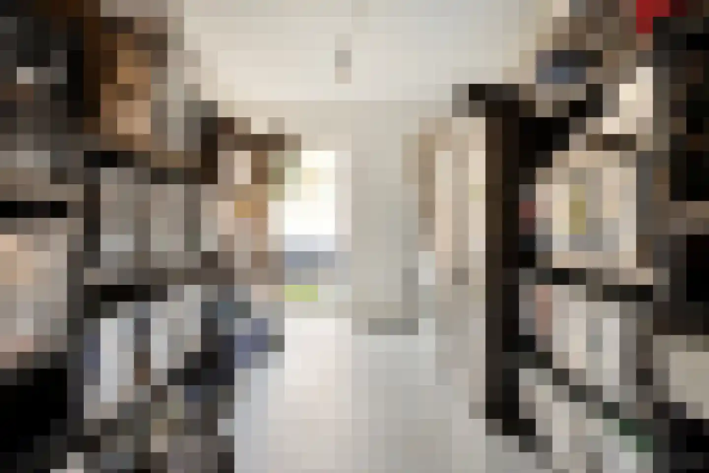 Jacintastraat 40 Graauw thumbnail 30