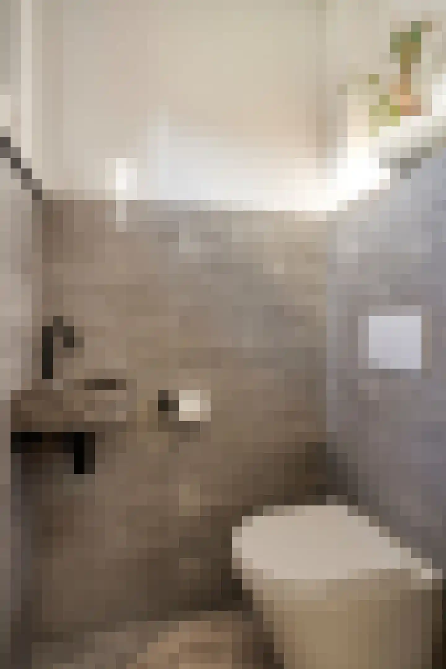 Jacintastraat 40 Graauw thumbnail 9