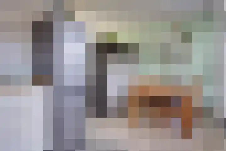 Jacintastraat 42 Graauw thumbnail 12
