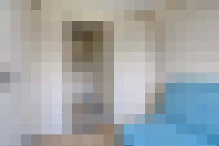 Jacintastraat 42 Graauw thumbnail 18