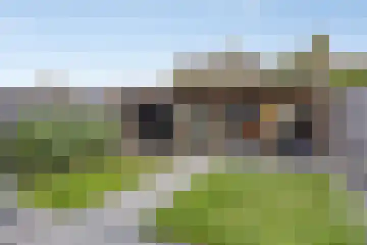 Jacintastraat 42 Graauw thumbnail 21
