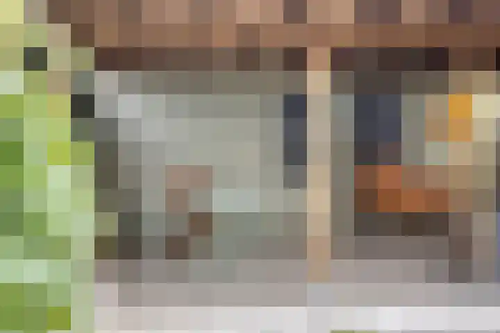 Jacintastraat 42 Graauw thumbnail 22