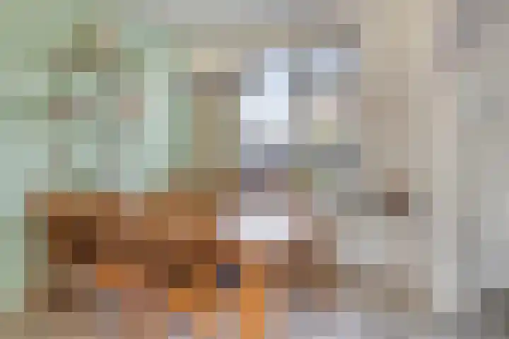 Jacintastraat 42 Graauw thumbnail 8