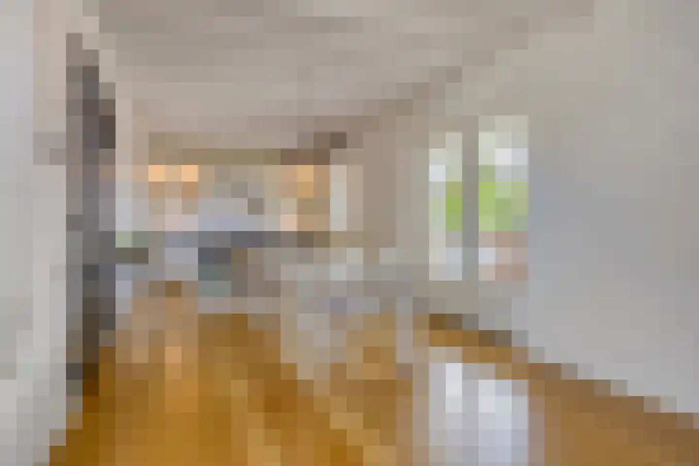 Jacintastraat 56 Graauw thumbnail 13