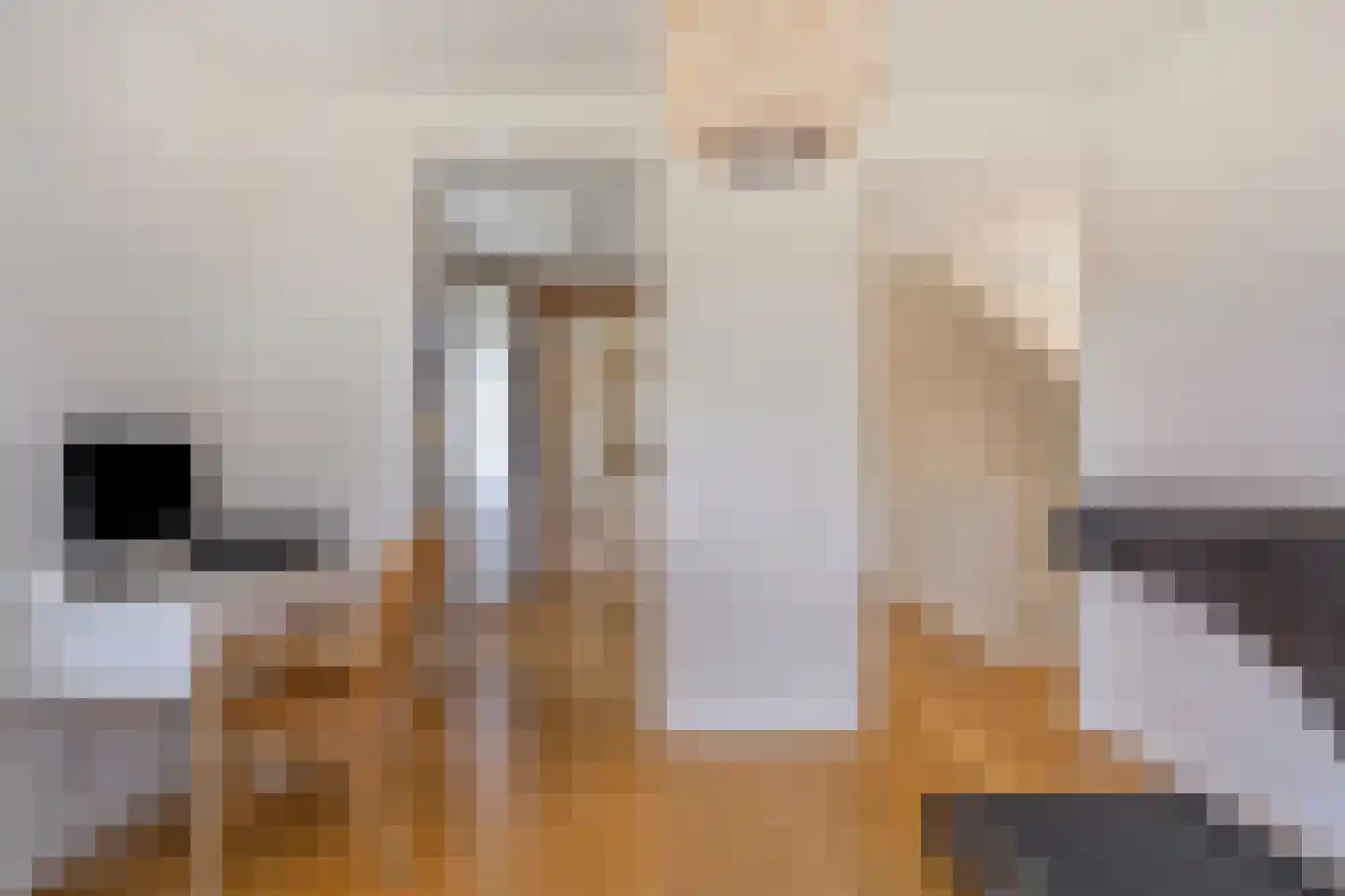Jacintastraat 56 Graauw thumbnail 30