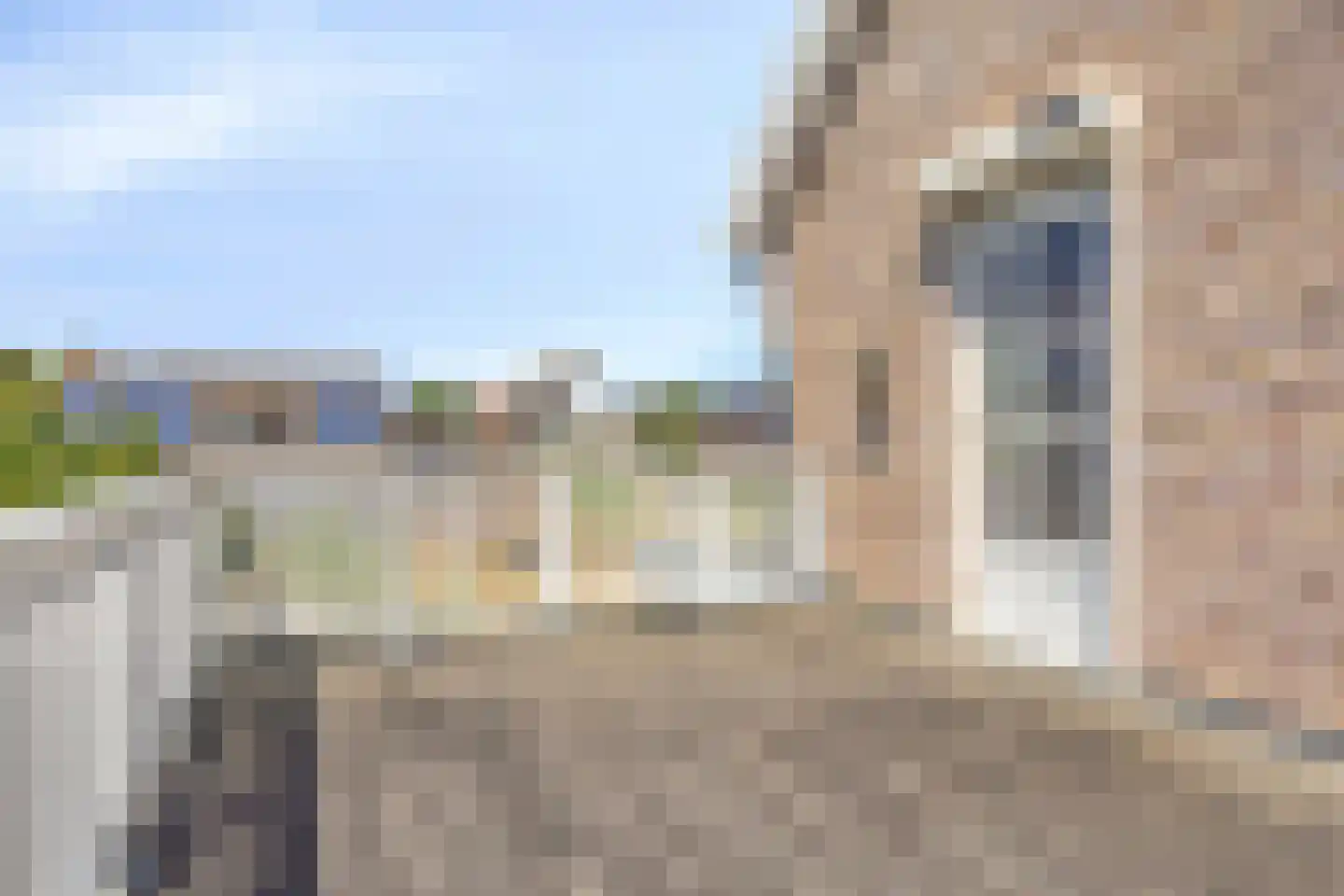 Jacintastraat 56 Graauw thumbnail 34