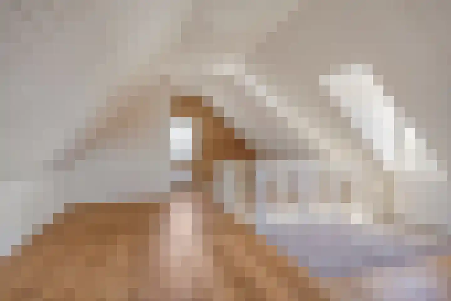 Jacintastraat 56 Graauw thumbnail 36